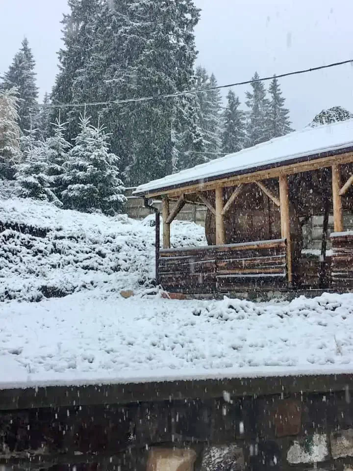 Hargitafürdő Szállás | Motel (K0767-37) A kép szerzői jogvédelem alatt állhat. Javasolt a kapcsolatfelvétel a jog tulajdonossal.