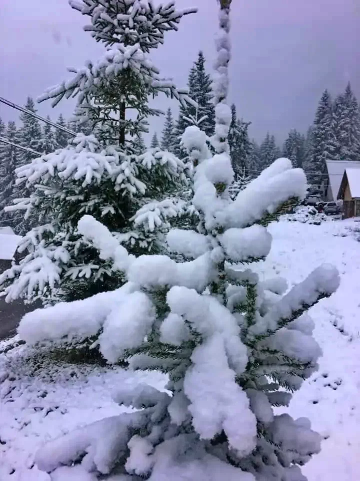 Hargitafürdő Szállás | Motel (K0767-38) A kép szerzői jogvédelem alatt állhat. Javasolt a kapcsolatfelvétel a jog tulajdonossal.