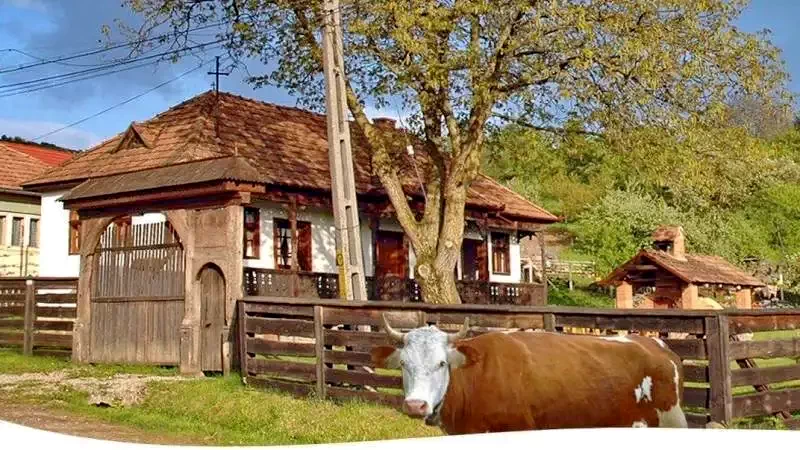 Székelyszentlélek Szállás | Üdülőfalu (K1359-49) A kép szerzői jogvédelem alatt állhat. Javasolt a kapcsolatfelvétel a jog tulajdonossal.