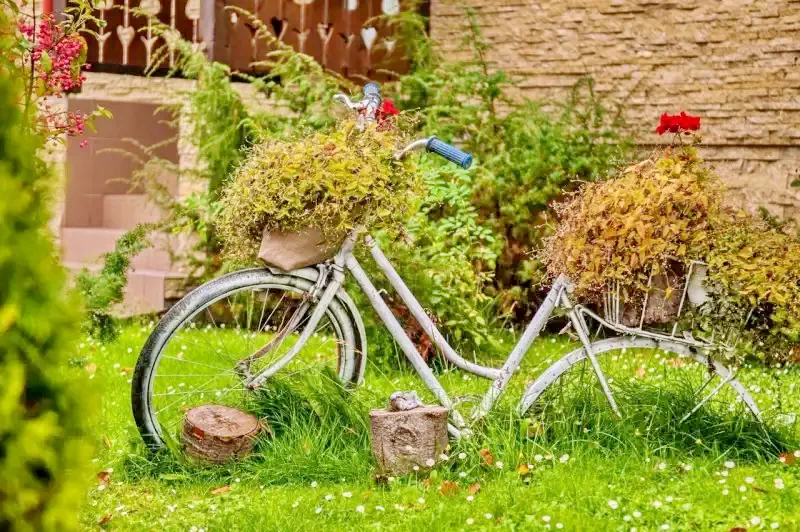 Pasul Bucin Cazare | Motel (K1072-45) Imaginea poate fi supusă drepturilor de autor. Se recomandă contactarea titularului drepturilor.