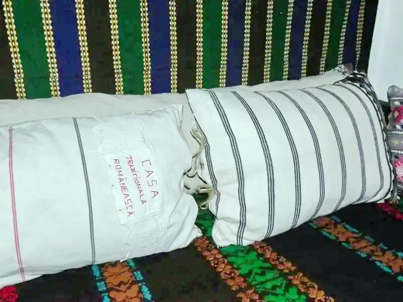 Pianu de Sus Cazare | Motel (K1177-9) Imaginea poate fi supusă drepturilor de autor. Se recomandă contactarea titularului drepturilor.