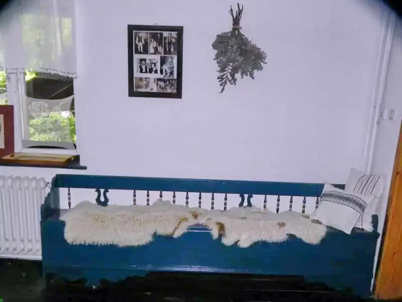 Pianu de Sus Cazare | Motel (K1177-13) Imaginea poate fi supusă drepturilor de autor. Se recomandă contactarea titularului drepturilor.