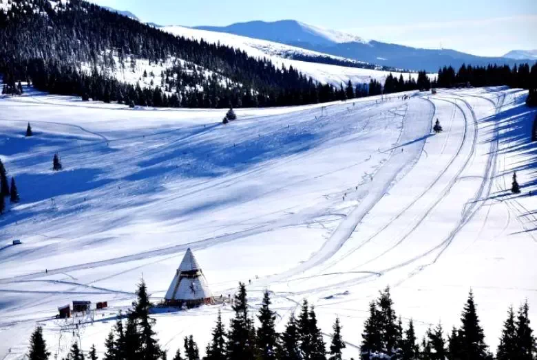 Pârtie de Schi Șureanu