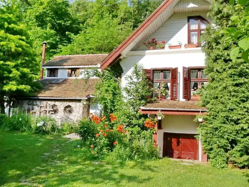 Pianu de Sus Cazare | Pensiune (K1177-29) Imaginea poate fi supusă drepturilor de autor. Se recomandă contactarea titularului drepturilor.