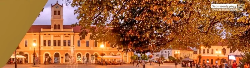 Sfântu Gheorghe Cazare | Pensiune turistică (K1433-50) Imaginea poate fi supusă drepturilor de autor. Se recomandă contactarea titularului drepturilor.