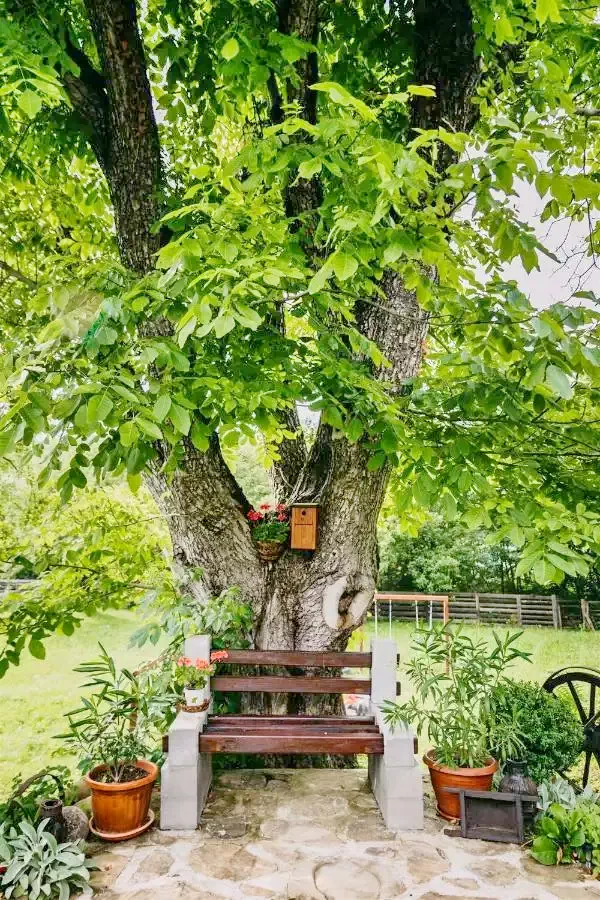 Medișoru Mic Cazare | Motel (K0509-14) Imaginea poate fi supusă drepturilor de autor. Se recomandă contactarea titularului drepturilor.