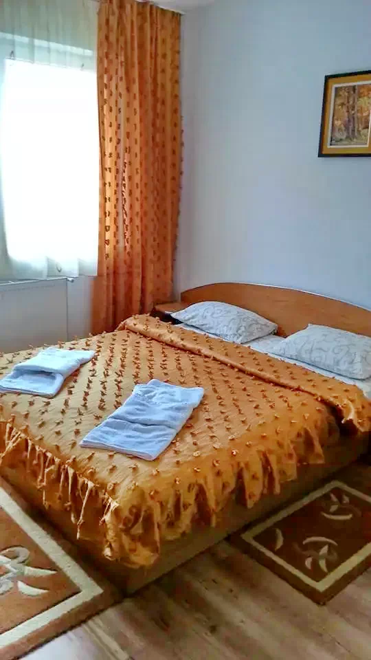 Borșa Cazare | Motel (K0802-12) Imaginea poate fi supusă drepturilor de autor. Se recomandă contactarea titularului drepturilor.