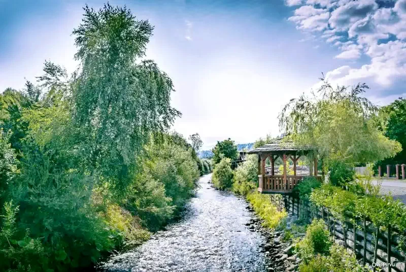 Borșa Cazare | Motel (K0802-33) Imaginea poate fi supusă drepturilor de autor. Se recomandă contactarea titularului drepturilor.