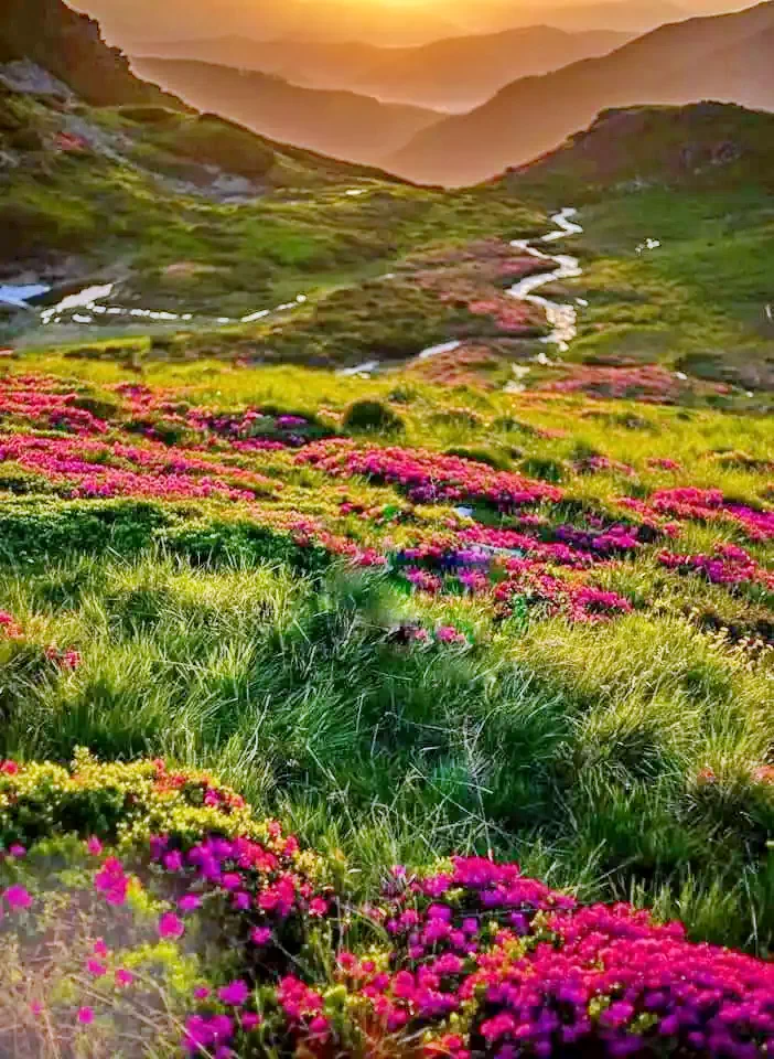 Borșa Cazare | Motel (K0802-38) Imaginea poate fi supusă drepturilor de autor. Se recomandă contactarea titularului drepturilor.