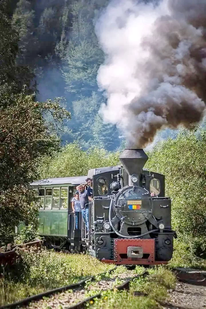 Borșa Cazare | Motel (K0802-41) Imaginea poate fi supusă drepturilor de autor. Se recomandă contactarea titularului drepturilor.