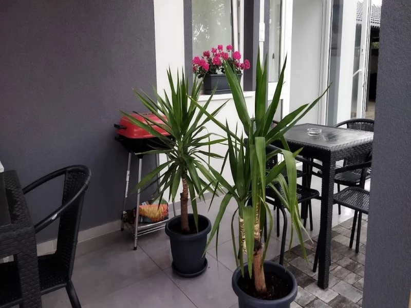 Jula Cazare | Casă de apartamente (K1049-39) Imaginea poate fi supusă drepturilor de autor. Se recomandă contactarea titularului drepturilor.