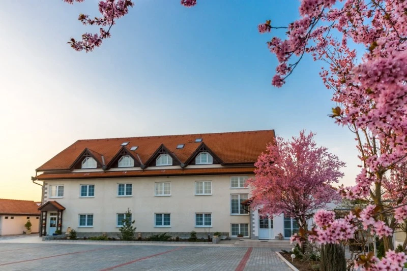 Sighișoara Cazare | Pensiune turistică (K1549-13) Imaginea poate fi supusă drepturilor de autor. Se recomandă contactarea titularului drepturilor.