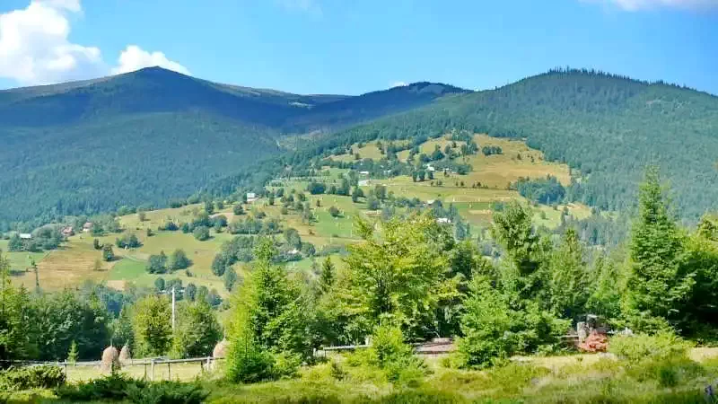 Lepus Szállás | Panzió (K1250-45) A kép szerzői jogvédelem alatt állhat. Javasolt a kapcsolatfelvétel a jog tulajdonossal.