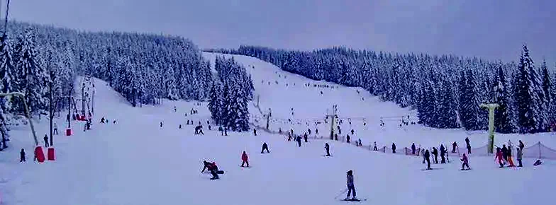 Lepus Szállás | Motel (K1250-46) A kép szerzői jogvédelem alatt állhat. Javasolt a kapcsolatfelvétel a jog tulajdonossal.