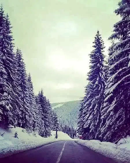 Lepus Szállás | Motel (K1250-47) A kép szerzői jogvédelem alatt állhat. Javasolt a kapcsolatfelvétel a jog tulajdonossal.