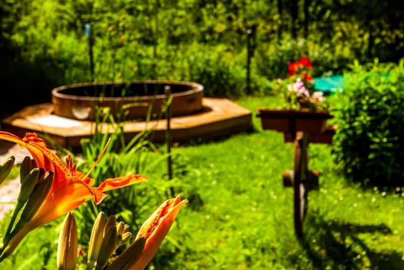 Borzont Cazare | Sat de vacanță (K0494-21) Imaginea poate fi supusă drepturilor de autor. Se recomandă contactarea titularului drepturilor.