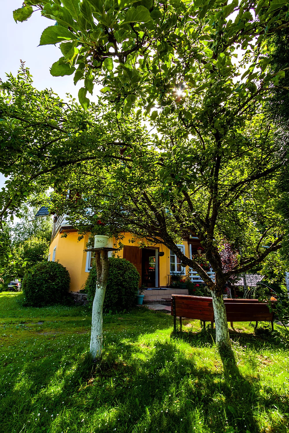 Borzont Cazare | Sat de vacanță (K0494-26) Imaginea poate fi supusă drepturilor de autor. Se recomandă contactarea titularului drepturilor.