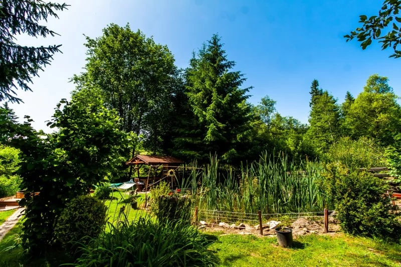 Borzont Cazare | Sat de vacanță (K0494-27) Imaginea poate fi supusă drepturilor de autor. Se recomandă contactarea titularului drepturilor.