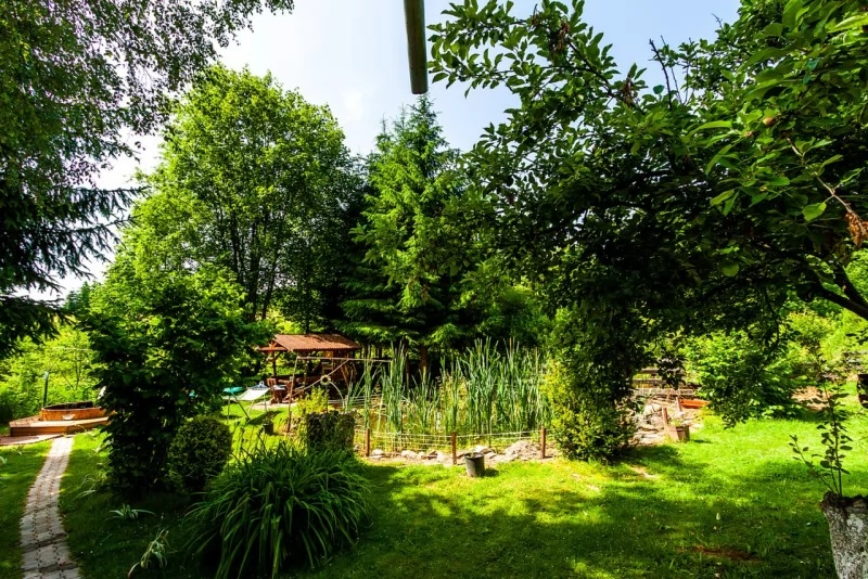 Borzont Cazare | Sat de vacanță (K0494-42) Imaginea poate fi supusă drepturilor de autor. Se recomandă contactarea titularului drepturilor.