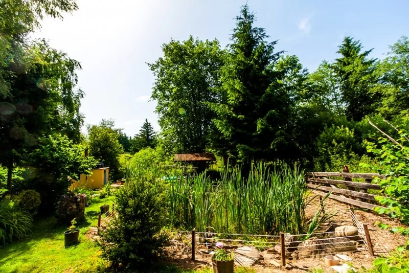 Borzont Cazare | Sat de vacanță (K0494-44) Imaginea poate fi supusă drepturilor de autor. Se recomandă contactarea titularului drepturilor.