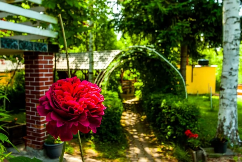 Borzont Cazare | Sat de vacanță (K0494-47) Imaginea poate fi supusă drepturilor de autor. Se recomandă contactarea titularului drepturilor.