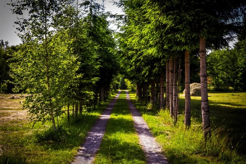 Borzont Szállás | Üdülőfalu (K0494-50) A kép szerzői jogvédelem alatt állhat. Javasolt a kapcsolatfelvétel a jog tulajdonossal.