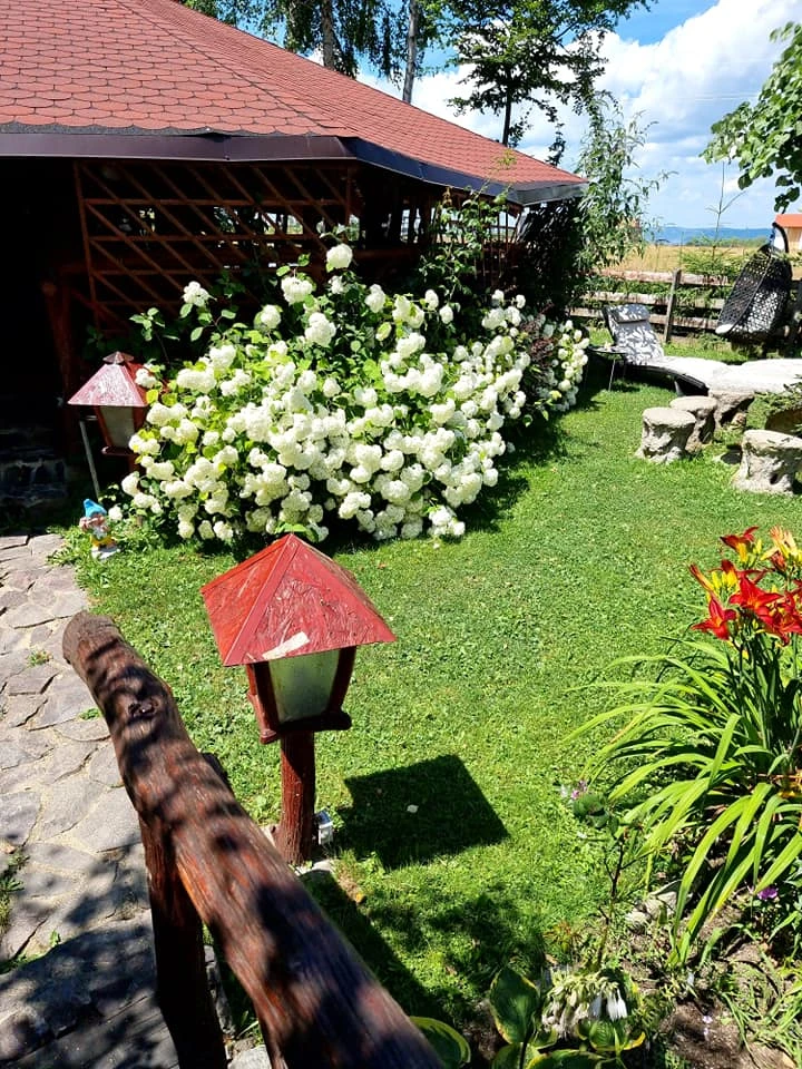 Sâmbăta de Sus Cazare | Motel (K1528-31) Imaginea poate fi supusă drepturilor de autor. Se recomandă contactarea titularului drepturilor.