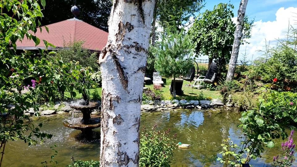 Sâmbăta de Sus Cazare | Motel (K1528-35) Imaginea poate fi supusă drepturilor de autor. Se recomandă contactarea titularului drepturilor.