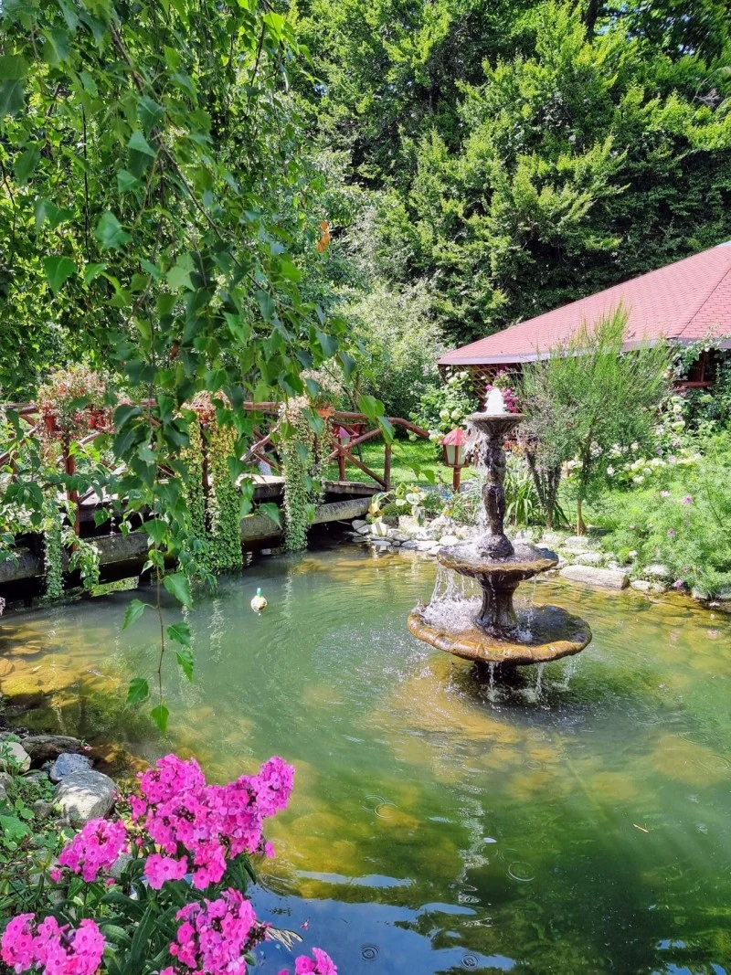 Sâmbăta de Sus Cazare | Motel (K1528-55) Imaginea poate fi supusă drepturilor de autor. Se recomandă contactarea titularului drepturilor.