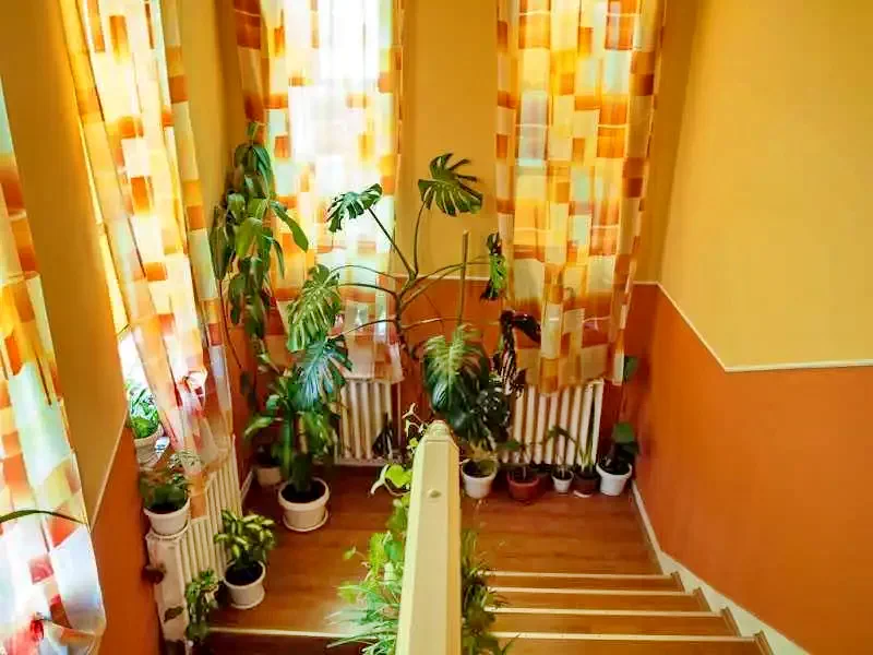 Lupeni Cazare | Hotel**** (K0843-13) Imaginea poate fi supusă drepturilor de autor. Se recomandă contactarea titularului drepturilor.