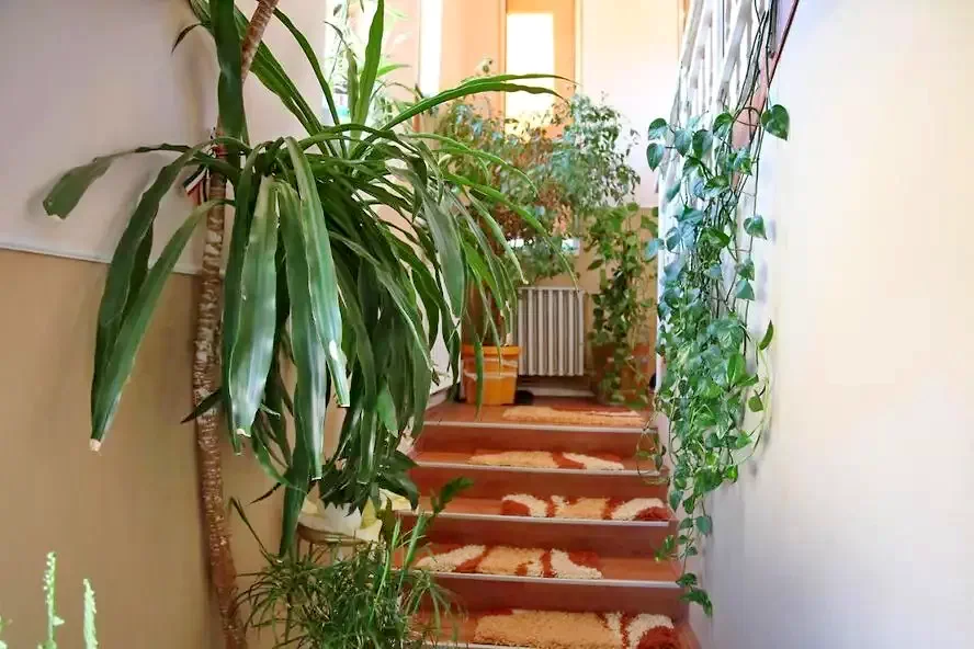 Lupeni Cazare | Hotel**** (K0843-19) Imaginea poate fi supusă drepturilor de autor. Se recomandă contactarea titularului drepturilor.