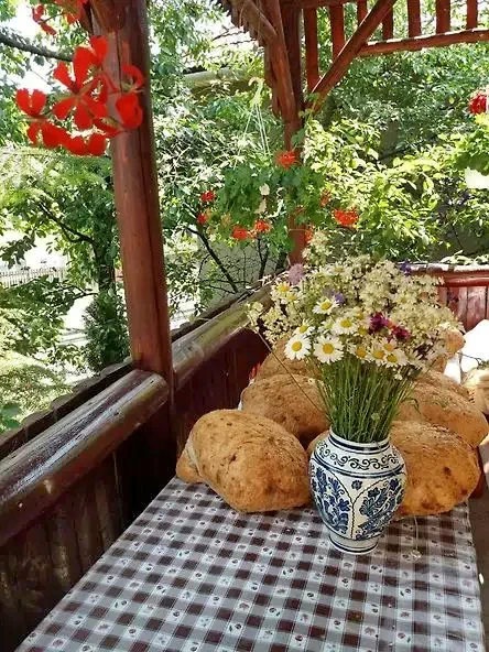 Lupeni Cazare | Hotel**** (K0843-33) Imaginea poate fi supusă drepturilor de autor. Se recomandă contactarea titularului drepturilor.