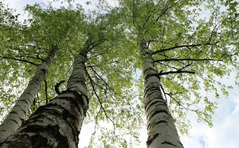 Réty Szállás | Panzió (K1450-26) A kép szerzői jogvédelem alatt állhat. Javasolt a kapcsolatfelvétel a jog tulajdonossal. Réty Szállás | Panzió (K1450-26) A kép szerzői jogvédelem alatt állhat. Javasolt a kapcsolatfelvétel a jog tulajdonossal.