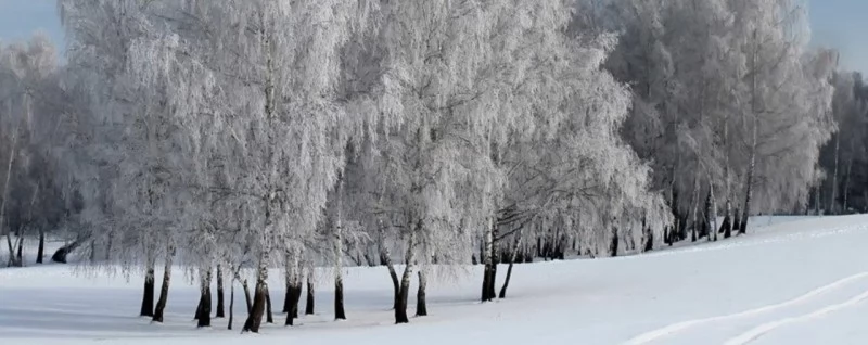 Réty Szállás | Panzió (K1450-29) A kép szerzői jogvédelem alatt állhat. Javasolt a kapcsolatfelvétel a jog tulajdonossal. Réty Szállás | Panzió (K1450-29) A kép szerzői jogvédelem alatt állhat. Javasolt a kapcsolatfelvétel a jog tulajdonossal.