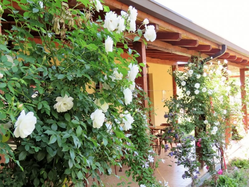 Caransebeș Cazare | Motel (K1457-10) Imaginea poate fi supusă drepturilor de autor. Se recomandă contactarea titularului drepturilor.