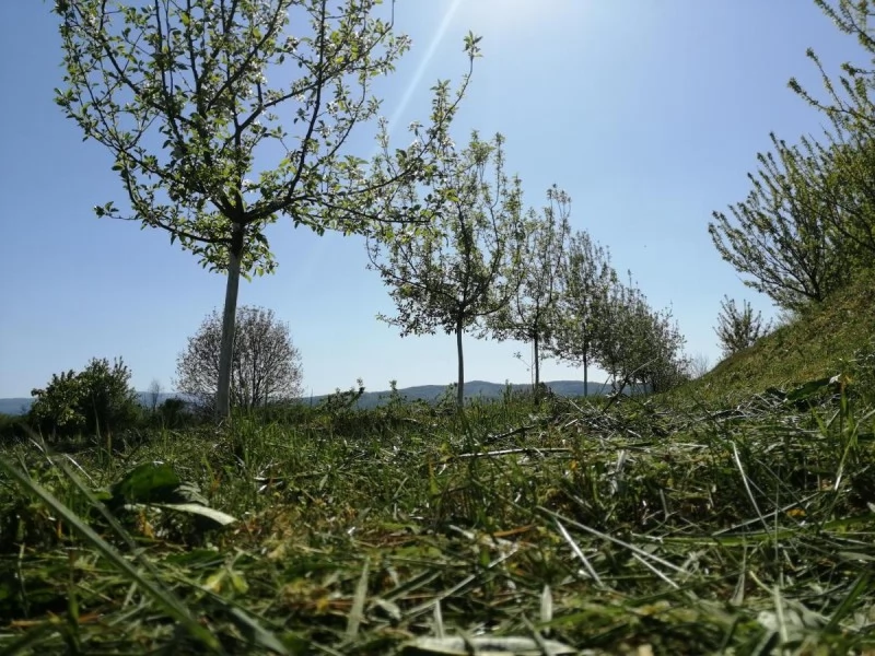 Caransebeș Cazare | Motel (K1457-53) Imaginea poate fi supusă drepturilor de autor. Se recomandă contactarea titularului drepturilor.