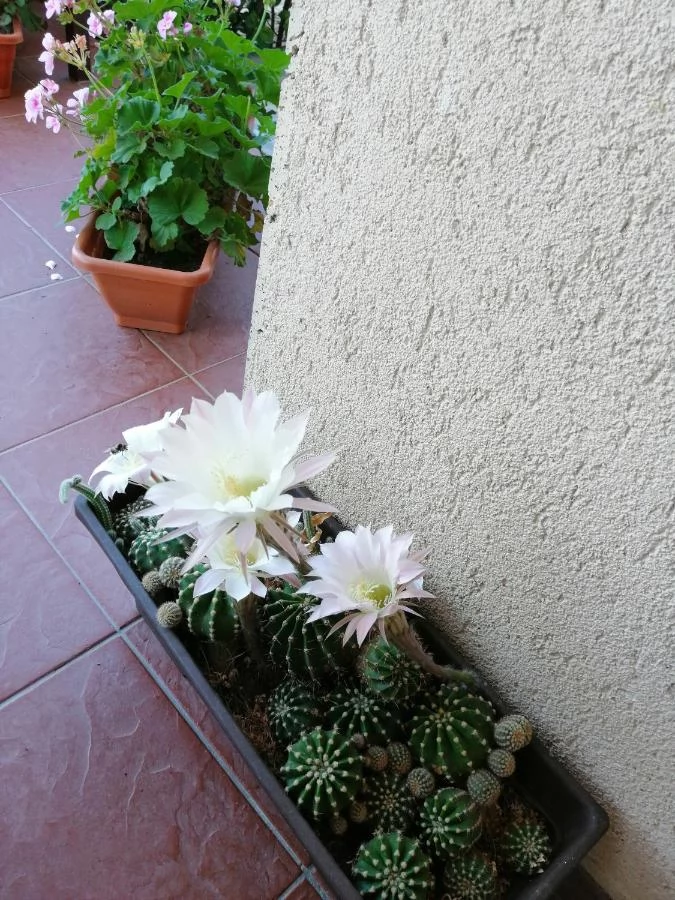 Caransebeș Cazare | Motel (K1457-54) Imaginea poate fi supusă drepturilor de autor. Se recomandă contactarea titularului drepturilor.