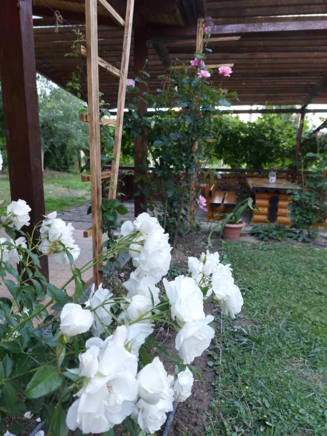 Caransebeș Cazare | Motel (K1457-62) Imaginea poate fi supusă drepturilor de autor. Se recomandă contactarea titularului drepturilor.