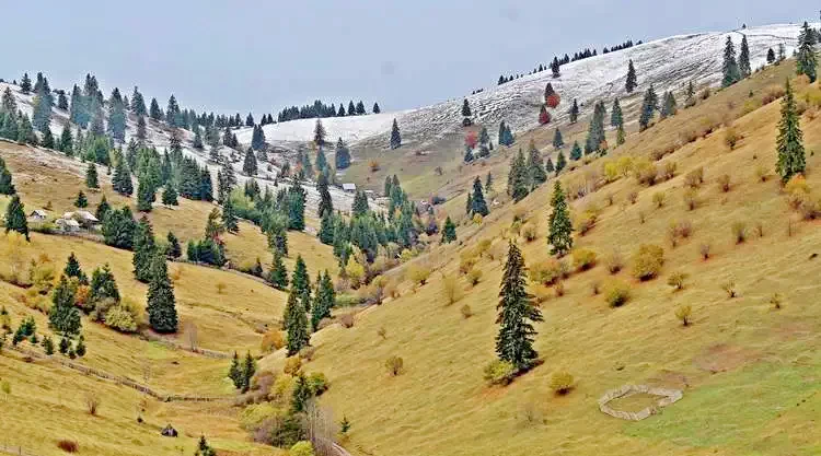 Făget Cazare | Motel (K1088-39) Imaginea poate fi supusă drepturilor de autor. Se recomandă contactarea titularului drepturilor.