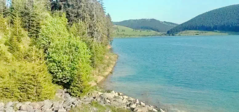 Făget Cazare | Motel (K1088-42) Imaginea poate fi supusă drepturilor de autor. Se recomandă contactarea titularului drepturilor.