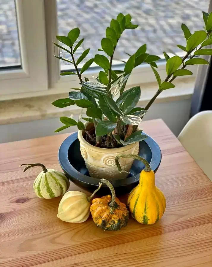 Târgu Secuiesc Cazare | Motel (K1248-9) Imaginea poate fi supusă drepturilor de autor. Se recomandă contactarea titularului drepturilor.