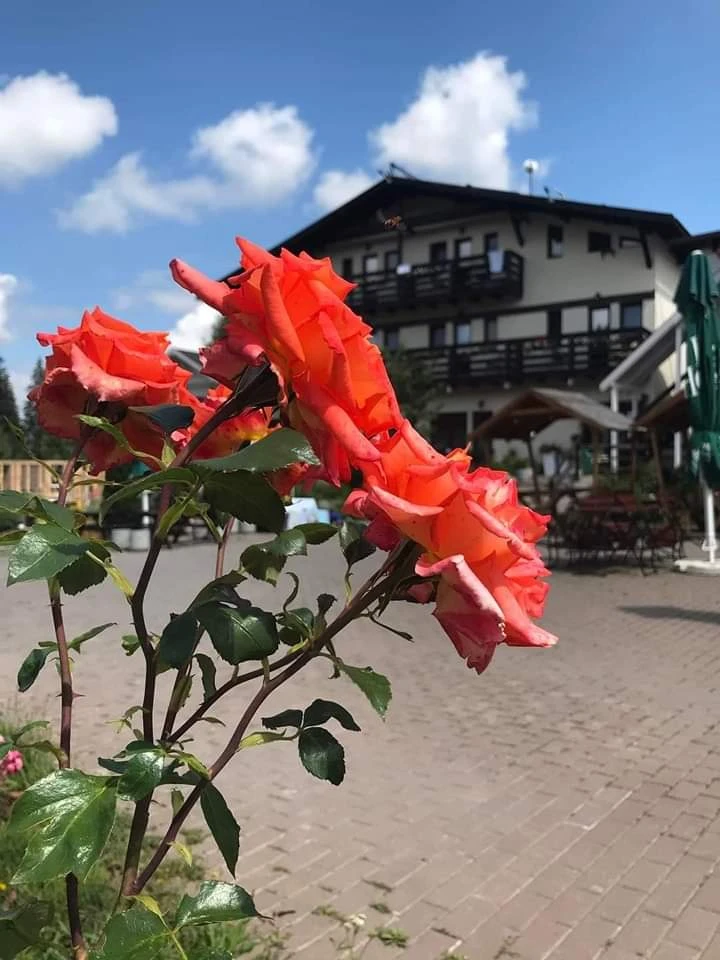 Ciumani Cazare | Motel (K1076-52) Imaginea poate fi supusă drepturilor de autor. Se recomandă contactarea titularului drepturilor.