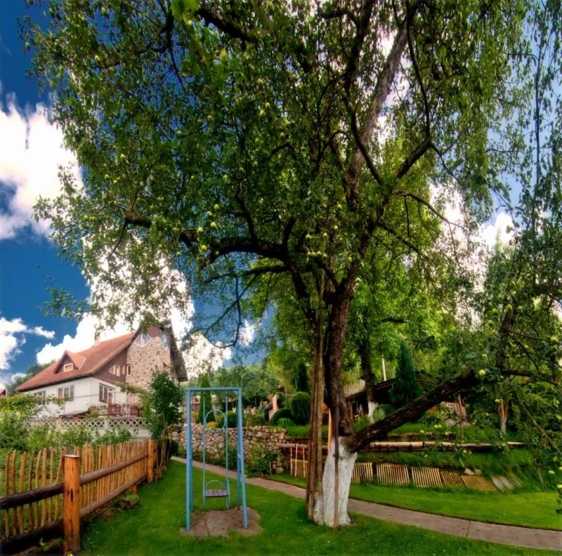 Barcarozsnyó Szállás | Motel (K1084-8) A kép szerzői jogvédelem alatt állhat. Javasolt a kapcsolatfelvétel a jog tulajdonossal.