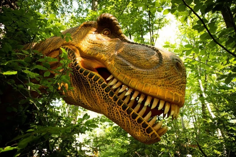 Barcarozsnyó Szállás | Motel (K1084-51) A kép szerzői jogvédelem alatt állhat. Javasolt a kapcsolatfelvétel a jog tulajdonossal.