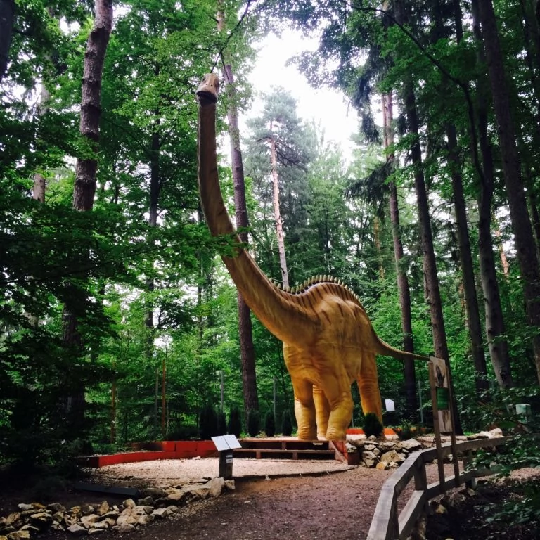 Râșnov Cazare | Motel (K1084-52) Imaginea poate fi supusă drepturilor de autor. Se recomandă contactarea titularului drepturilor.