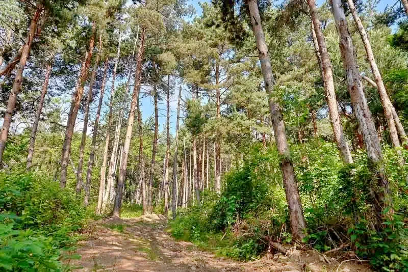 Corbeni Cazare | Sat de vacanță (K0538-23) Imaginea poate fi supusă drepturilor de autor. Se recomandă contactarea titularului drepturilor.