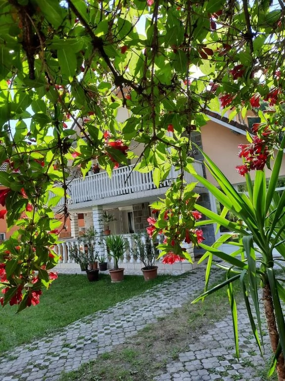 Szováta Szállás | Villa (K0315-28) A kép szerzői jogvédelem alatt állhat. Javasolt a kapcsolatfelvétel a jog tulajdonossal.