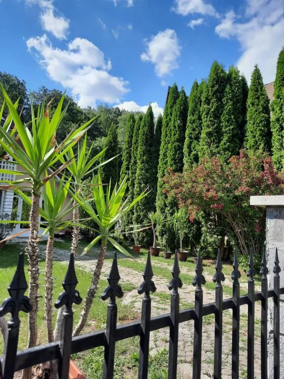 Szováta Szállás | Villa (K0315-29) A kép szerzői jogvédelem alatt állhat. Javasolt a kapcsolatfelvétel a jog tulajdonossal.