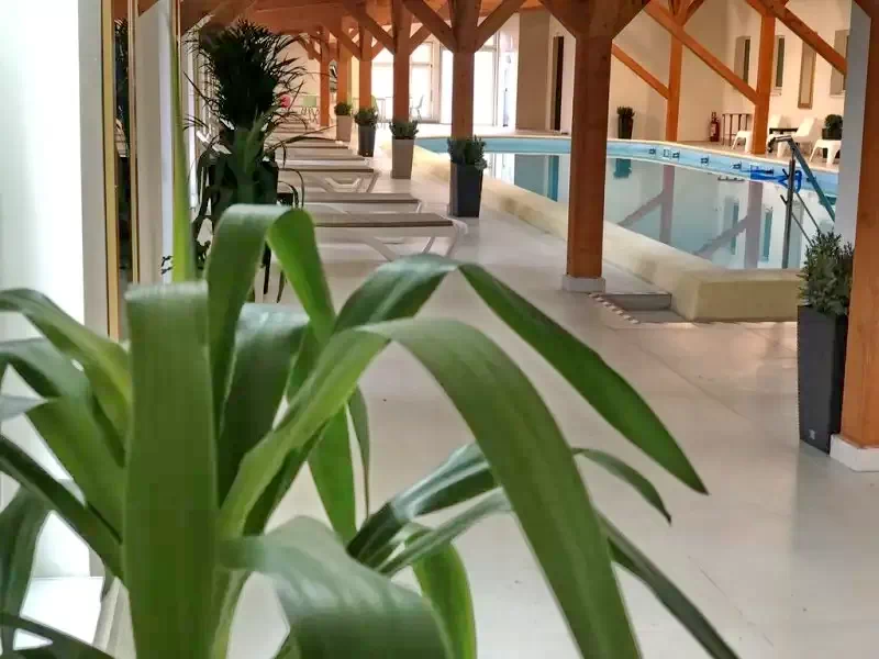 Turda Cazare | Pensiune turistică (K0816-1) Imaginea poate fi supusă drepturilor de autor. Se recomandă contactarea titularului drepturilor.