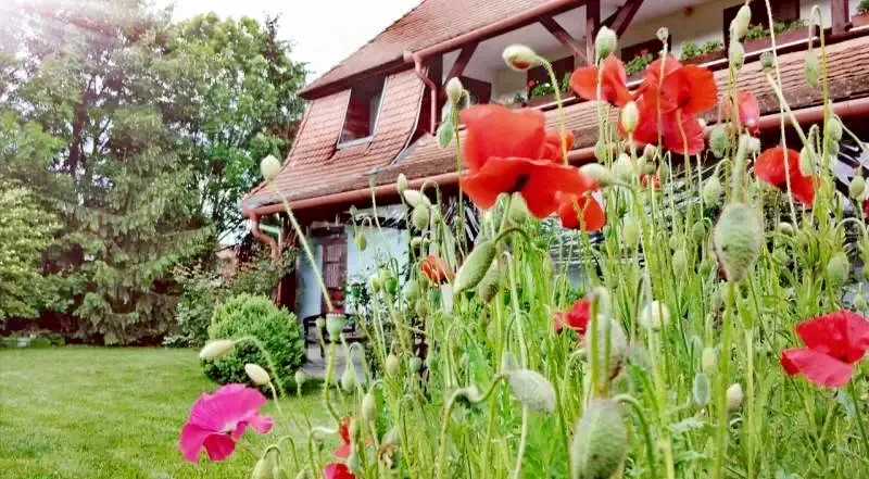 Rugănești Cazare | Hotel**** (K1258-1) Imaginea poate fi supusă drepturilor de autor. Se recomandă contactarea titularului drepturilor.